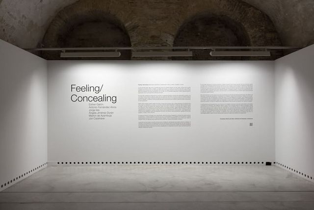 exposición feeling and concealing