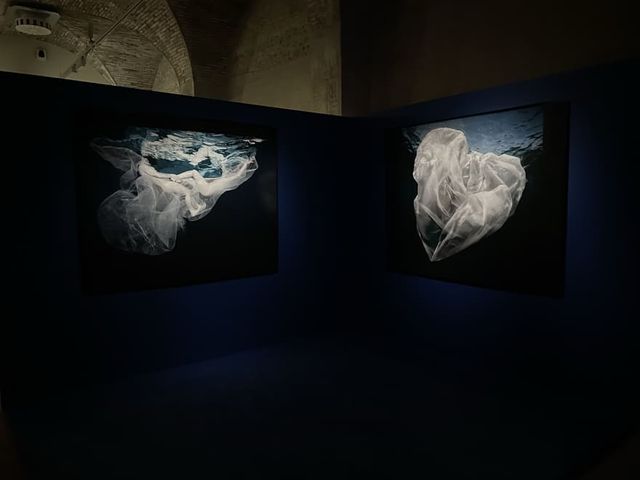 detalle de Exposición Agua de Isabel Muñoz